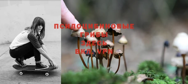 ешки Беломорск