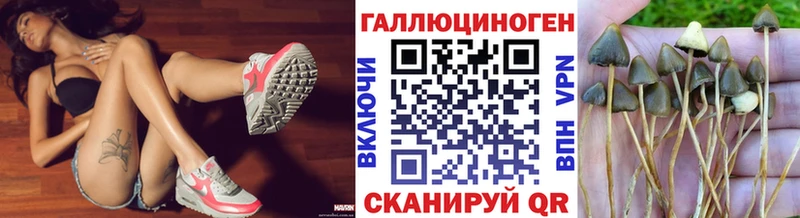 даркнет сайт  Вуктыл  Галлюциногенные грибы Magic Shrooms 